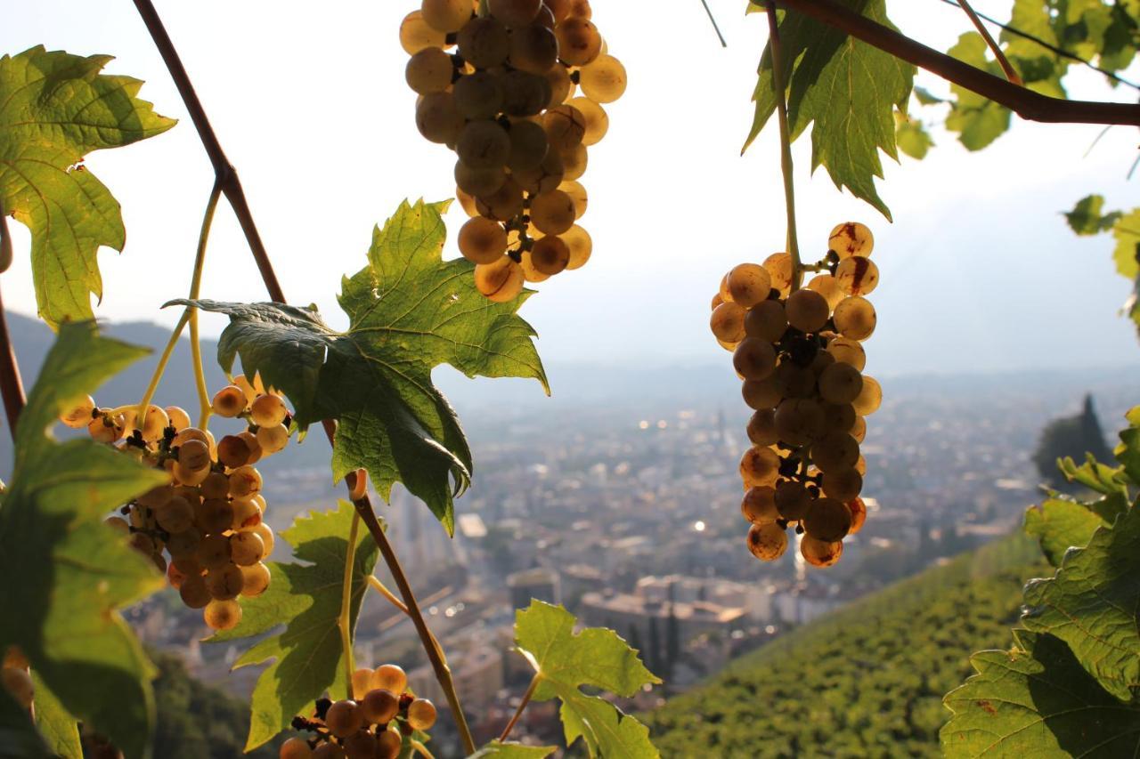 Weingut Eberlehof Apartment Bozen